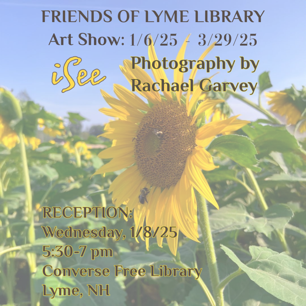 Information describing Rachel Garvey's art show from 1/5/2025 to 3/29/2025 and opening reception on 1/8 from 5:30-7. Background is Garvey photo of a bee on a sunflower against a blue sky.